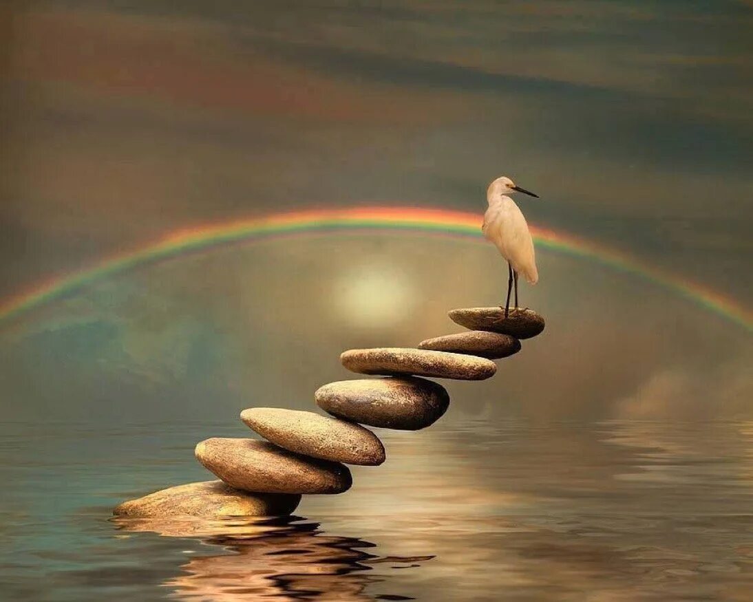 Равновесие в душе. Равновесие в природе. При равновесии. Гармония и равновесие. Жизненное равновесие.