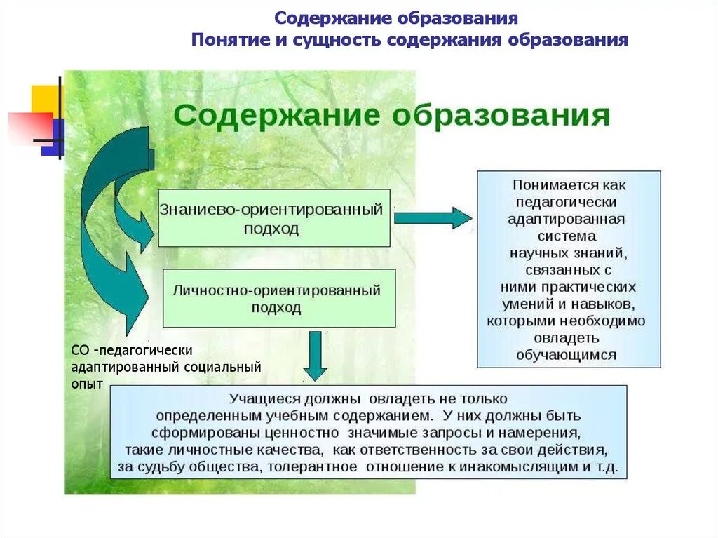 Сущность современного образования. Признаки содержания образования. Схема структуры содержания образования. Содержание образования это в педагогике. Подходы определяющие содержание обучения..