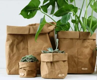 Bag plant