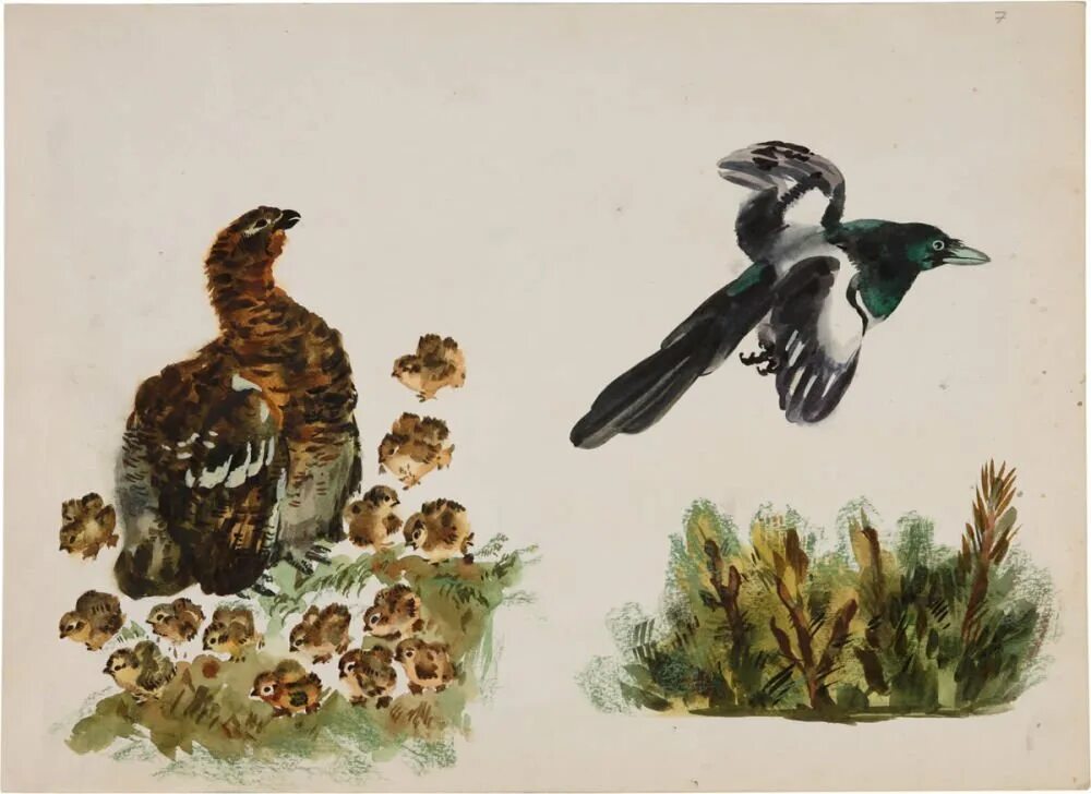 Чарушин работы. Чарушин работы. Чарушин работы. Олешки иллюстрации чарушина. Художник анималист чарушин картины животных.