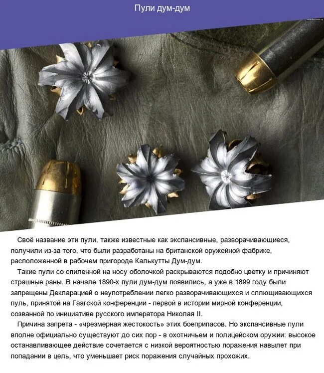 Табличка о запрете оружия. Знак оружие к проносу запрещено. Экспансивные пули запрещены. Перечеркнутое оружие. Перечеркнутый пистолет.