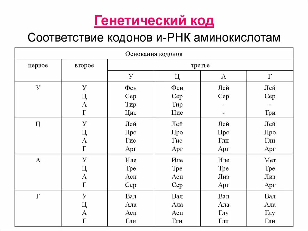 Из днк в ирнк таблица. Таблица генетического кода ИРНК И ДНК. Аминокислоты ДНК И РНК таблица. Генетический код триплет и РНК таблица. Аминокислоты таблица генетического кода.