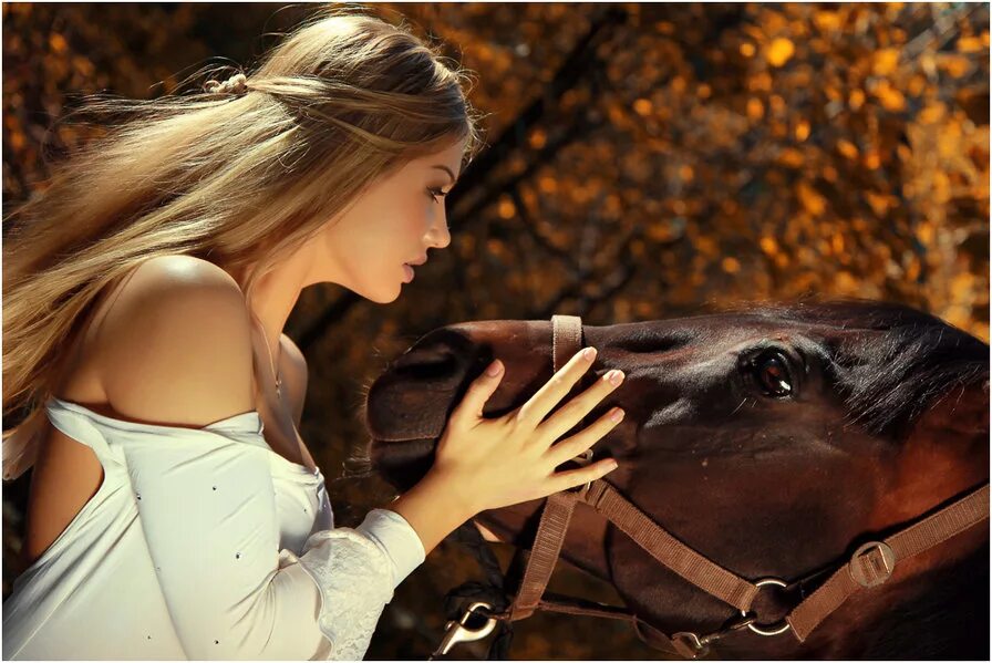 Лошадь любит девушку. Фотосессия с лошадьми. красивая женщина на лошади. фотосет с лошадью. девушка обнимает лошадь.