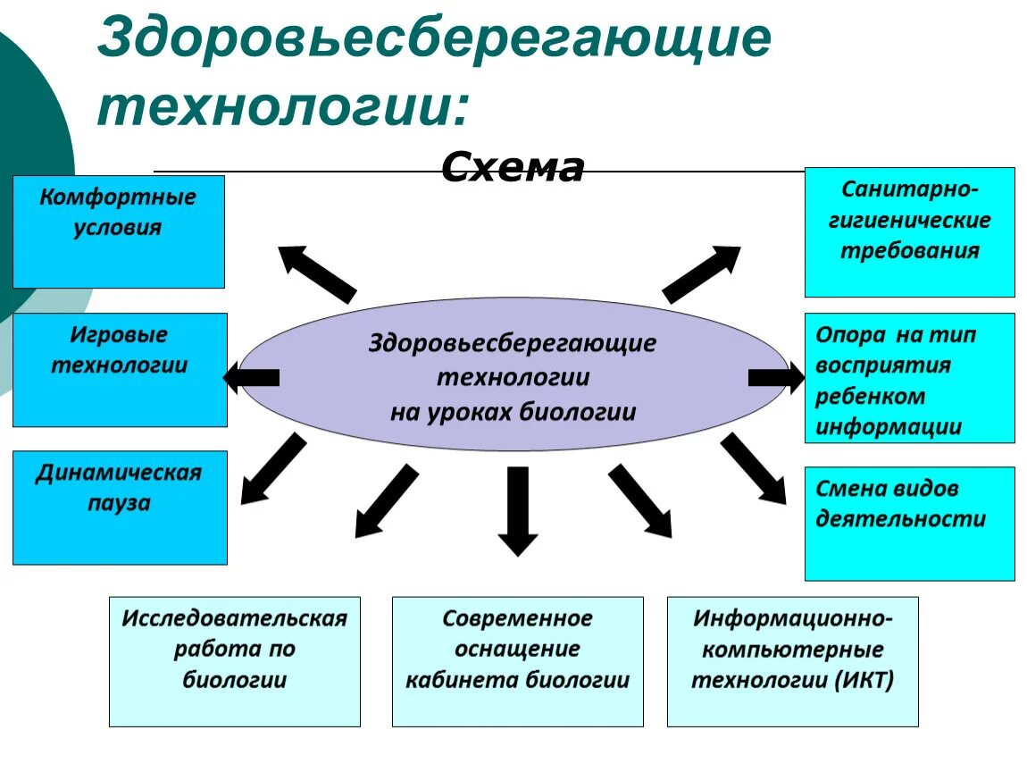 Технологии на уроках биологии. Технологии здоровьесбережения. Здоровьесберегающие технологии. Здоровьесберегающие технологии на уроках биологии.