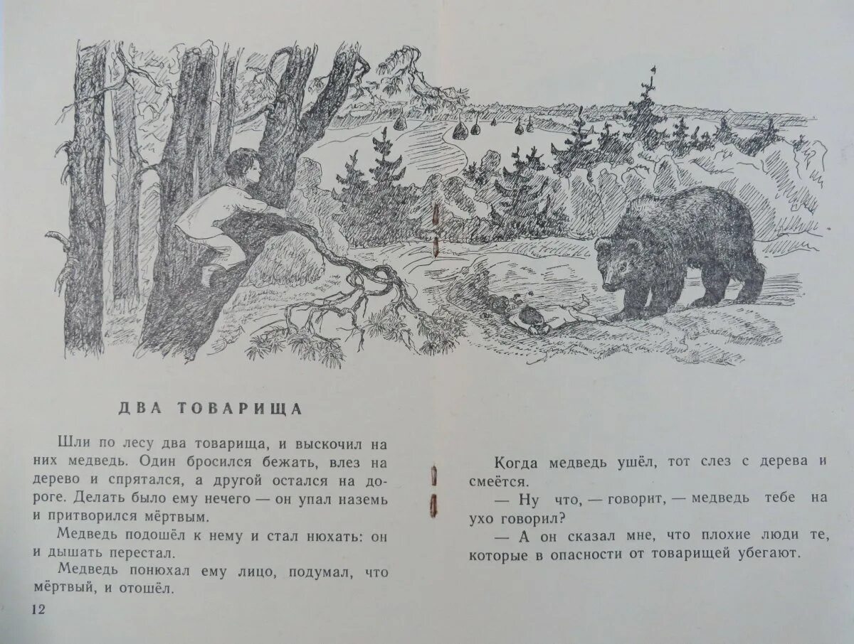 Товарищ убежать. Два товарища. Л. толстой. Иллюстрация к басне Толстого два товарища. Басня л н Толстого два товарища. Л Н толстой два товарища иллюстрации.