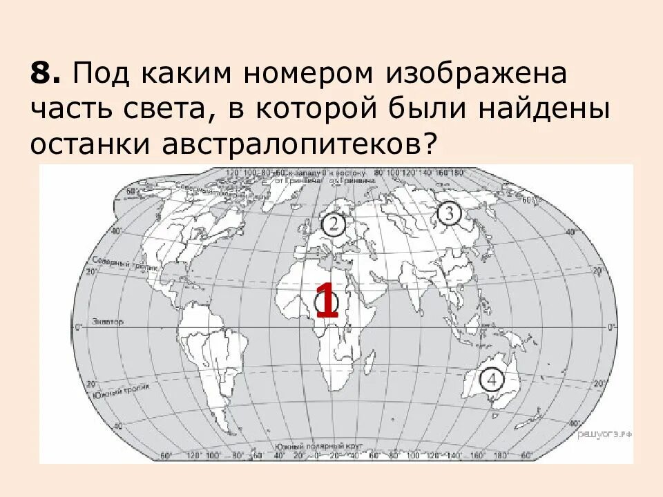 Под каким ы. Часть света, в которой были найдены останки австралопитеков. Где нашли останки австралопитека. Где были найдены останки австралопитеков на карте. Останки австралопитеков на карте.