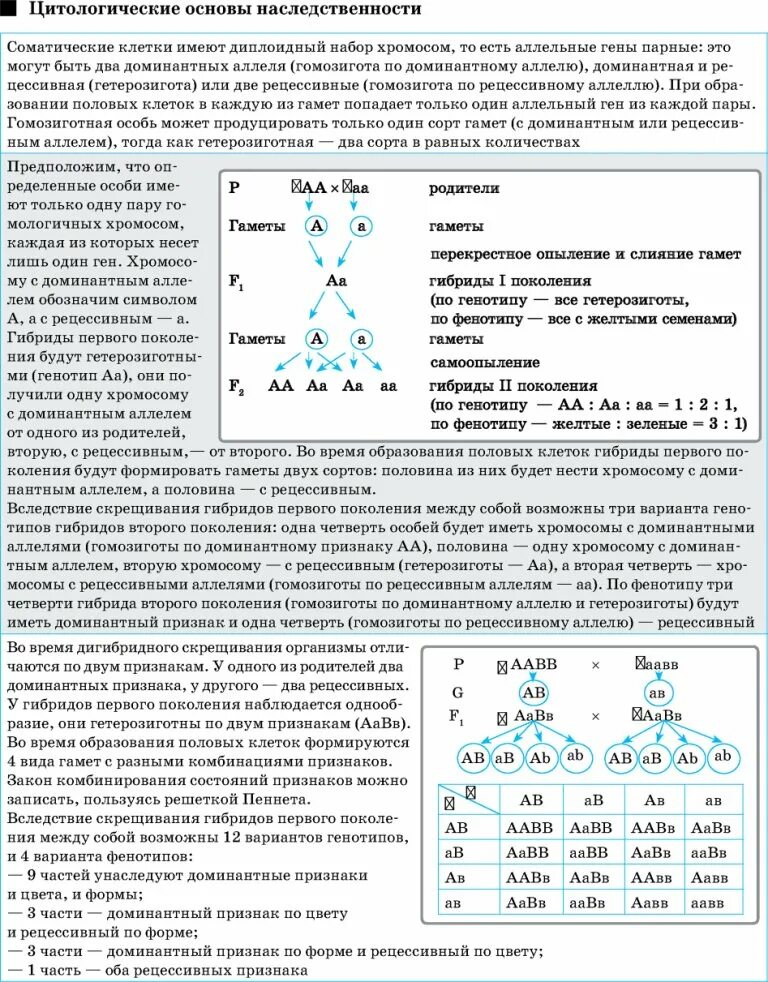 Определение гетерозигота
