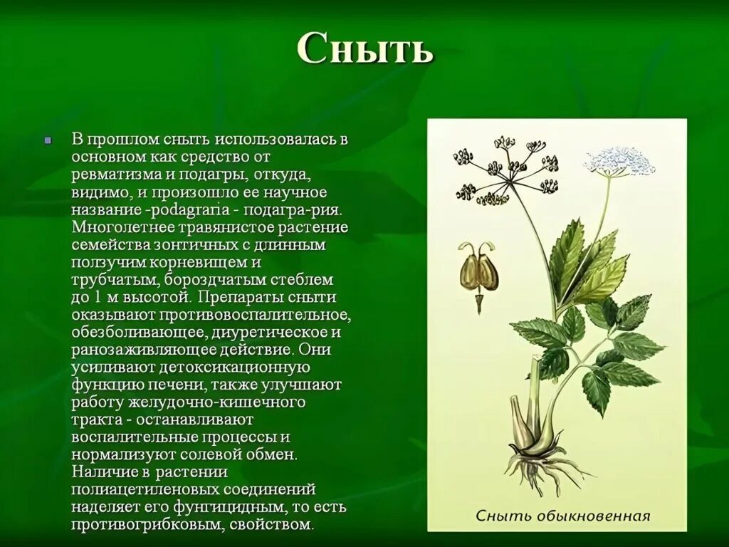 Где ее используют