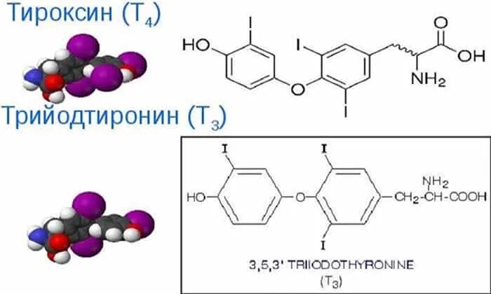 Тироксин и трийодтиронин. Т3 и т4 гормоны формулы. Трийодтиронин ( т3 ) таблетки. Трийодтиронин и тетрайодтиронин.
