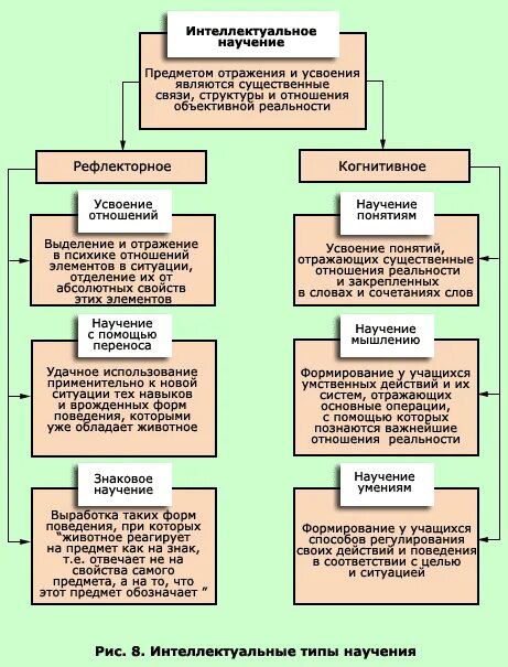 Формы интеллектуального поведения животных