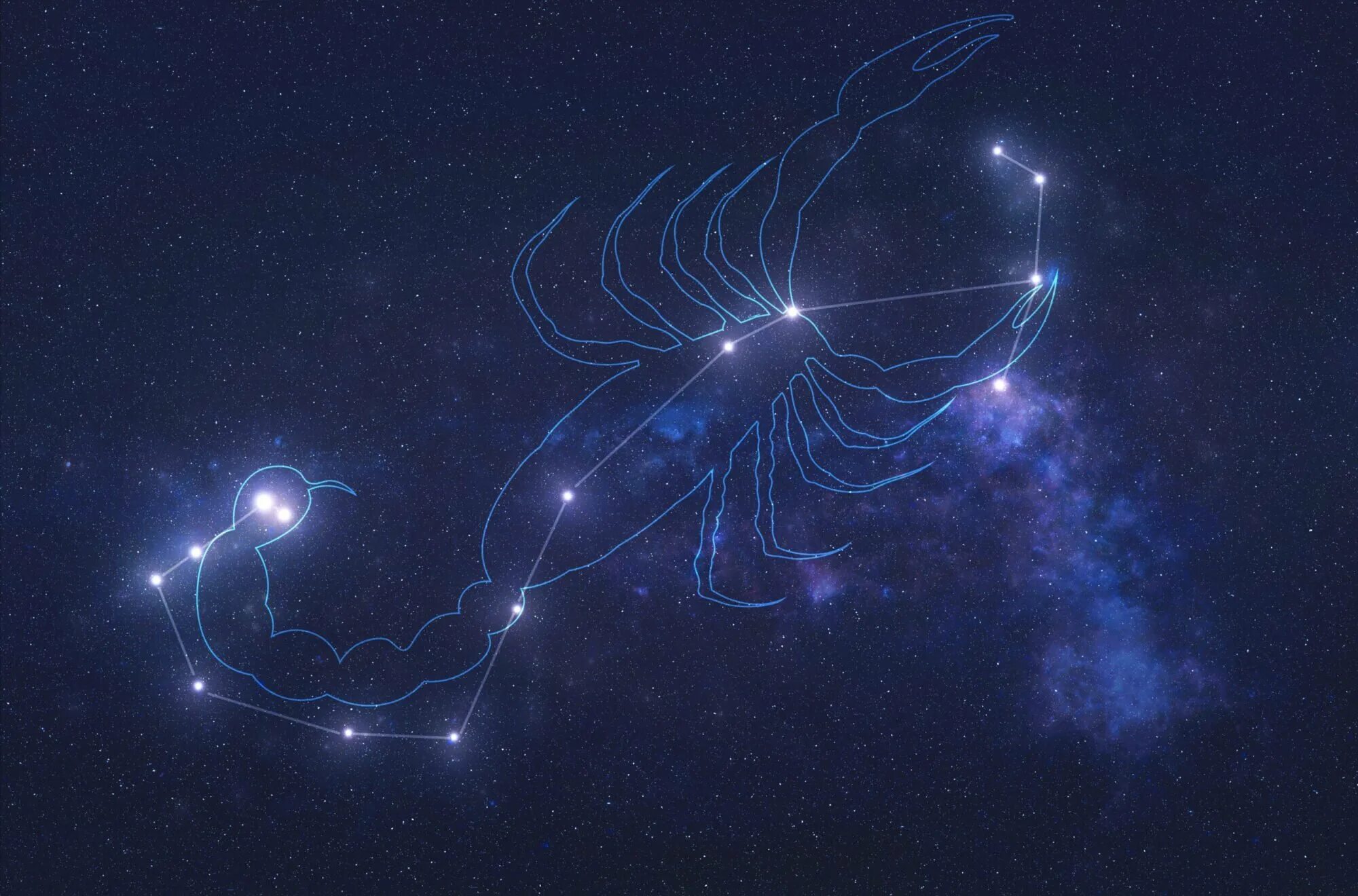 Созвездие constellation 2024. Созвездие скорпиона Саргас. Скорпион знак зодиака Созвездие. Антарес в созвездии скорпиона. Созвездие Скорпион Стеллариум.