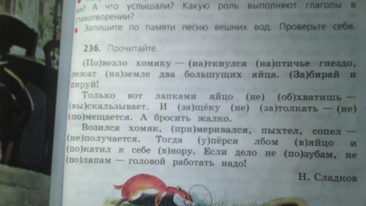 План текста не повезло осине. Русский язык 3 класс повезло хомяку. Повезло хомяку наткнулся на Птичье гнездо озаглавить. Сладков повезло хомяку наткнулся на Птичье гнездо. Контрольное списывание повезло хомяку.