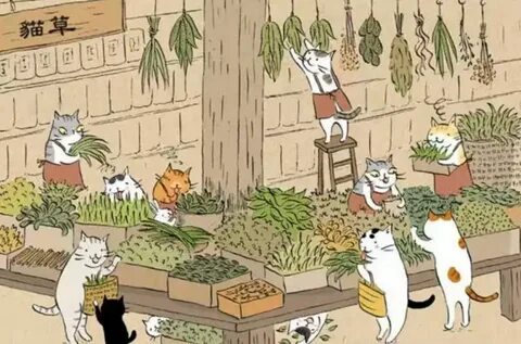 Маркет кошки