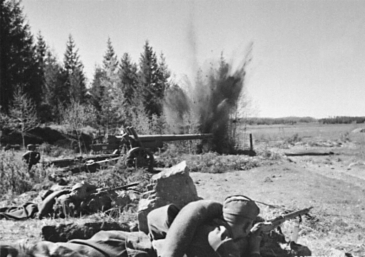 К лету 1941 года. Сольцы контрудар 1941. вов 1941 год. вов лето 1941. оборона могилёва в 1941.