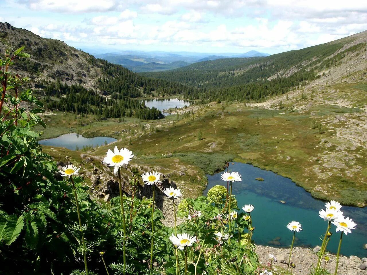 Чемал каракольские озера. Каракольские озера алтай фото. Чемал каракольские озера. Каракольские озёра горный алтай вид сверху. Каракольские озёра горный.