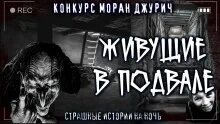 Слушать рассказы вьюгина. Рассказы интересные истории слушать. Слушать рассказы вьюгина. "конопастик". Слушать рассказы вьюгина.