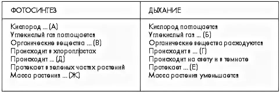 Презентация по биологии фотосинтез. Фотосинтетический коэффициент. Процесс фотосинтеза у растений схема. Глюкоза образуется в процессе фотосинтеза. Основная ткань растений 6 класс биология.