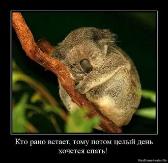 Спать ложусь завтра рано вставать