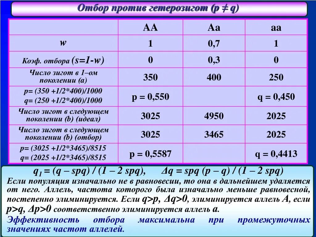 Рассчитайте частоту гомозигот. Отбор против гетерозигот. Отбор против гетерозигот примеры. Отбор в пользу гетерозигот и против гетерозигот. Отбор в пользу гетерозигот примеры.