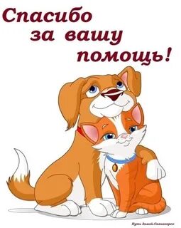 Вы очень нам помогаете спасибо