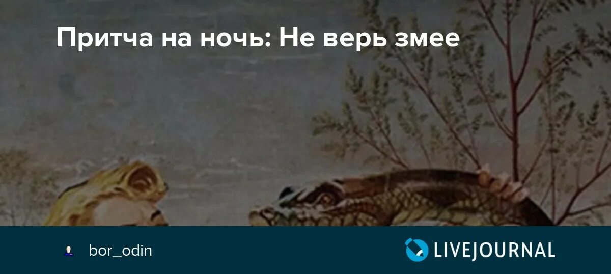 Притчи про змей. Притча про змею и человека. Притча про двух змей. Притча про змею и женщину. Цитаты про змей.