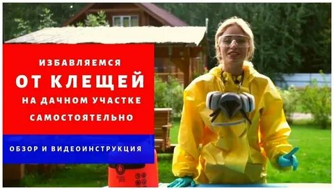 Чем опрыскать участок от клещей самостоятельно