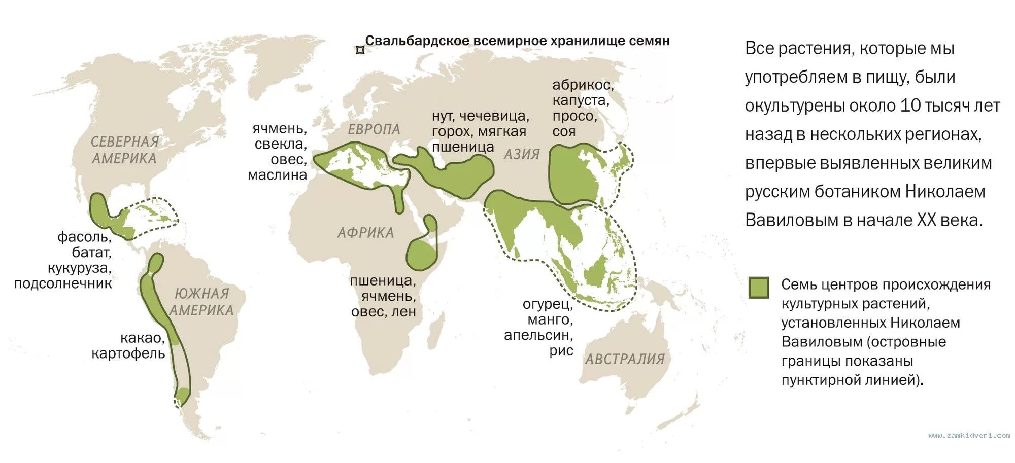 Карта центров происхождения культурных растений по н.и Вавилову. Картв происхождение центров культурных растений по Вавилову. Сколько центров происхождения культурных