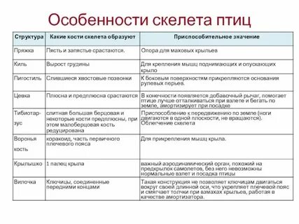 Таблицы особенности строения птицы