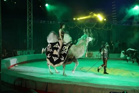 Откуда цирк