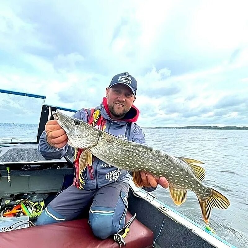 ярмарка рыба камчатки воронеж. рыбы воронежа. рыбы воронежской области. кольцовский рынок магазин рыба камчатки. пруд чагин воронежская.