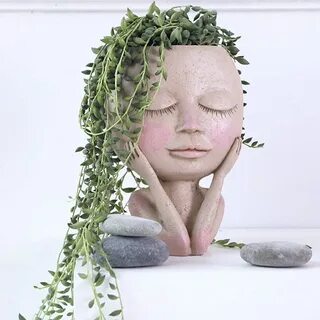 Head plant