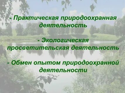 Экологическая природоохранная деятельность