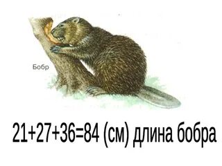 Расписание бобровый. Расписание бобровый
