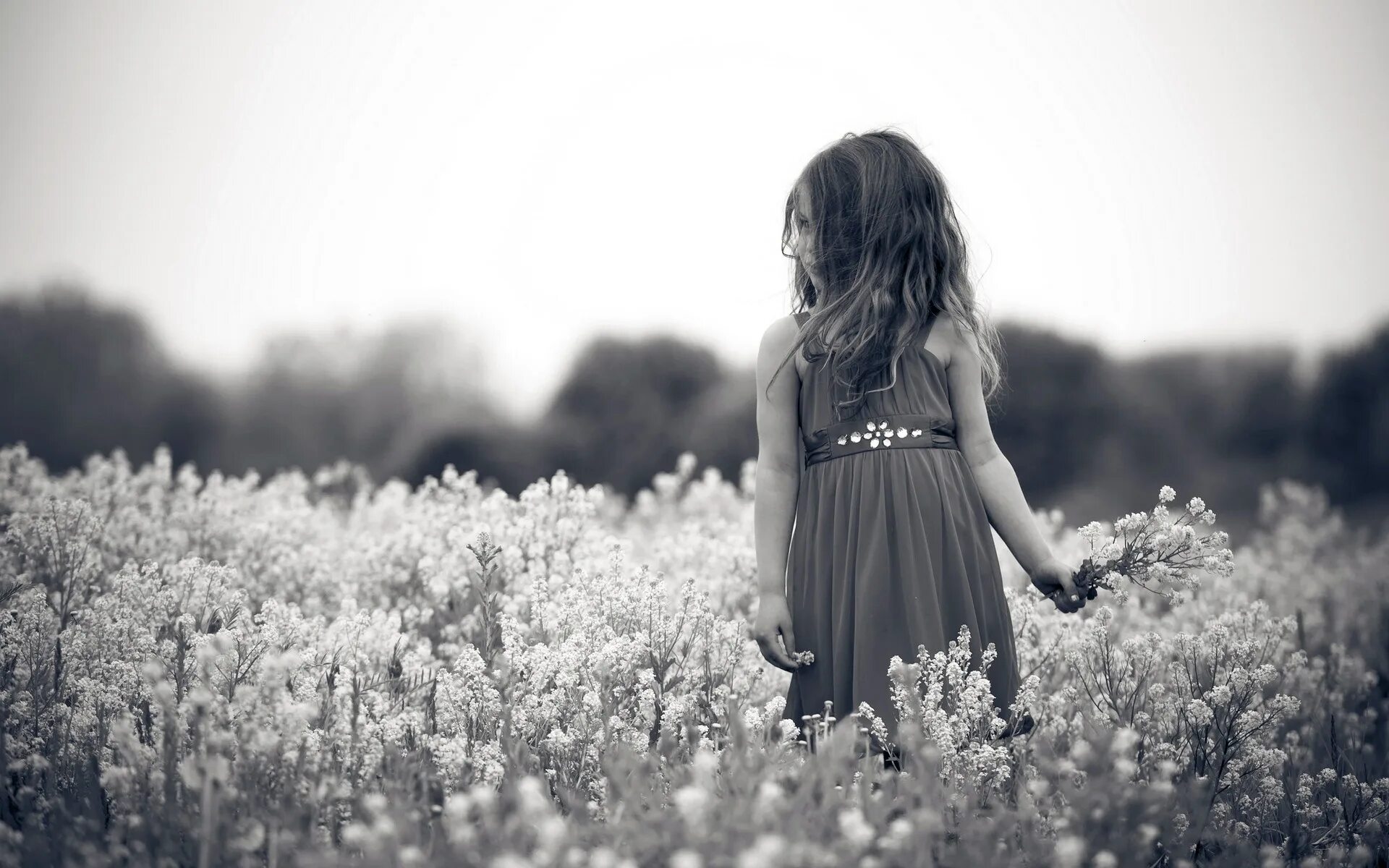 Девушка в поле. Черно белая фотография девочки. Девочка с цветами. Девушка в поле со спины.