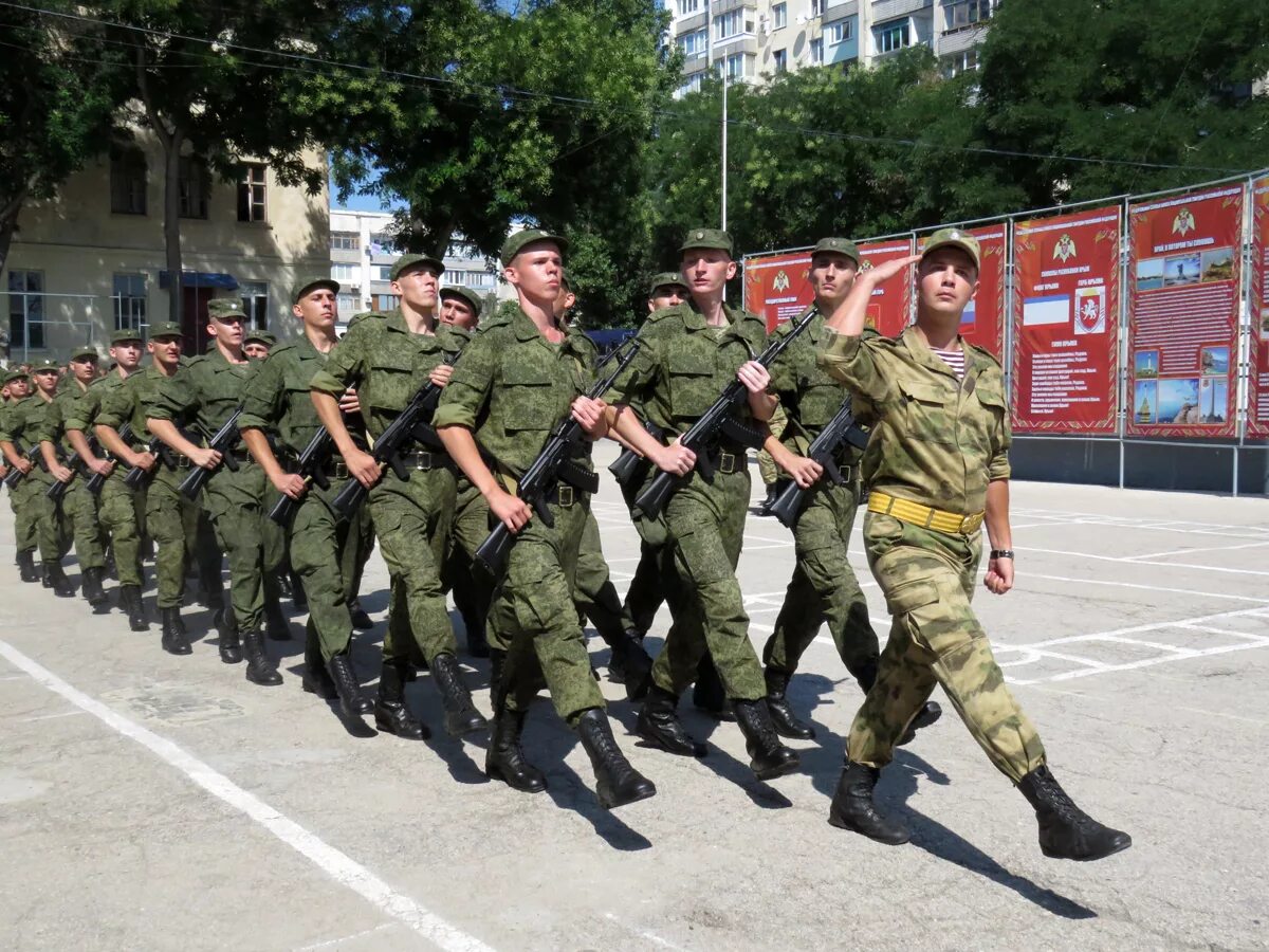 омиб северного флота. печенга морская пехота. 28 саперная бригада муром. инженерные войска росгвардии. инженерные полка.