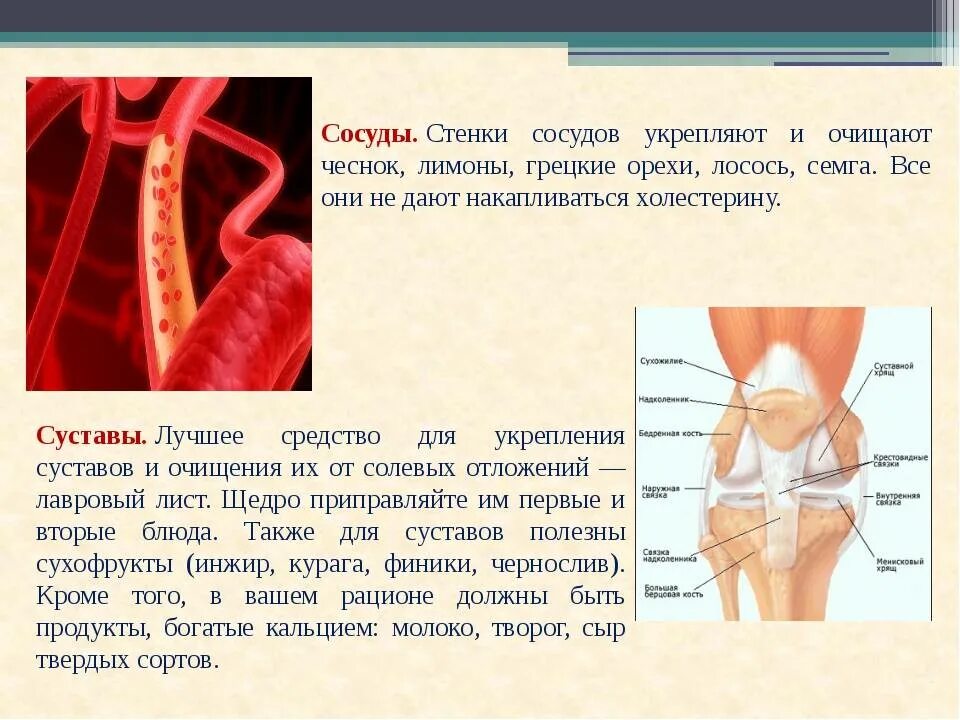 Лечение сосудов человека. Укрепление кровеносных сосудов. Что укрепляет стенки сосудов. Укрепление сосудистой стенки. Укрепление сосудов и капилляров.