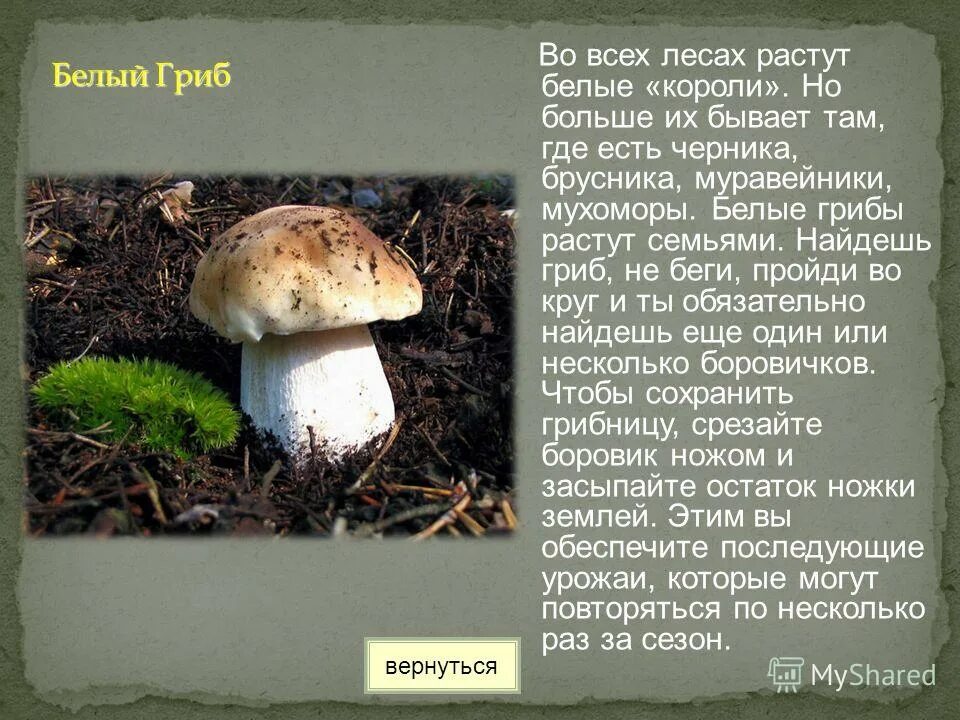 пушковые волосы над верхней губой. причины роста инфляции. поредение волос у ребенка. тоненький волосок на коже. грибы белые с углублением.