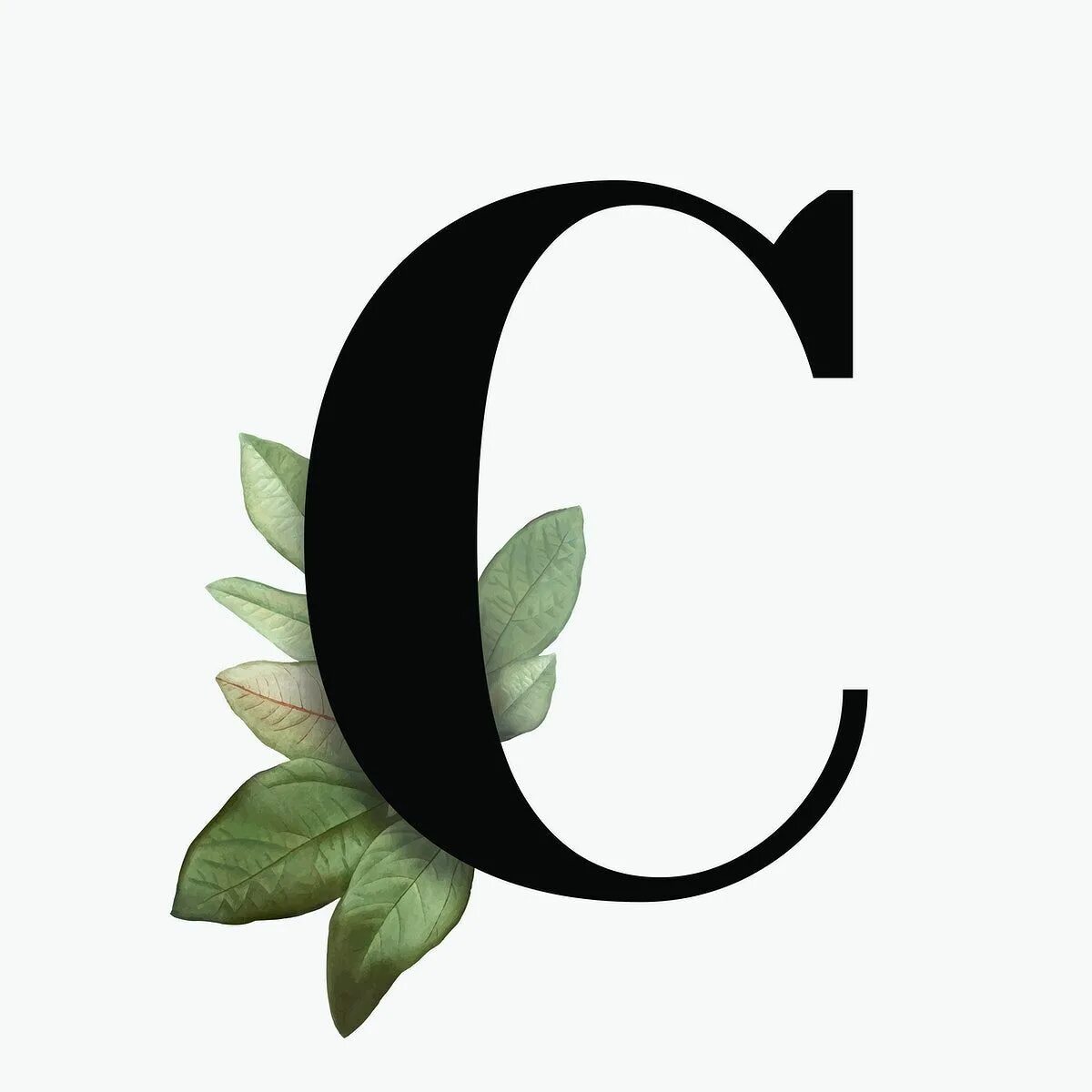 Изображение буквы c. Буква c. красивая буква c. буква а логотип. дизайн буквы д.