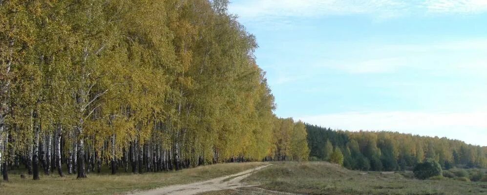 Д бутырки. Бутырки Старожиловский район Рязанской области. Деревня Бутырки Старожиловский район Рязанской области. Рязанская обл. Старожиловский район д. Бутырки. Деревня Бутырки.