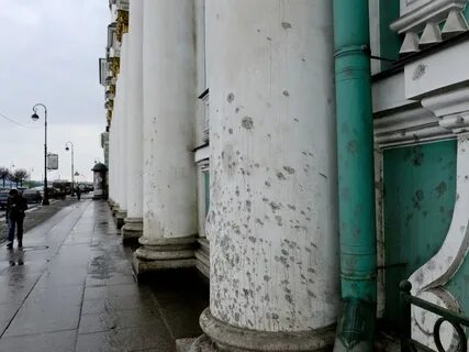 Грязи петербург