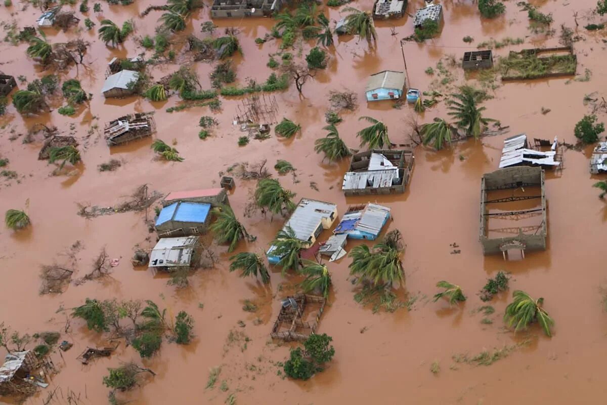 The hunt natural disaster. Наводнение в Мозамбике 2000. Наводнение в Африке. Стихийные бедствия наводнение. Потоп в Африке.