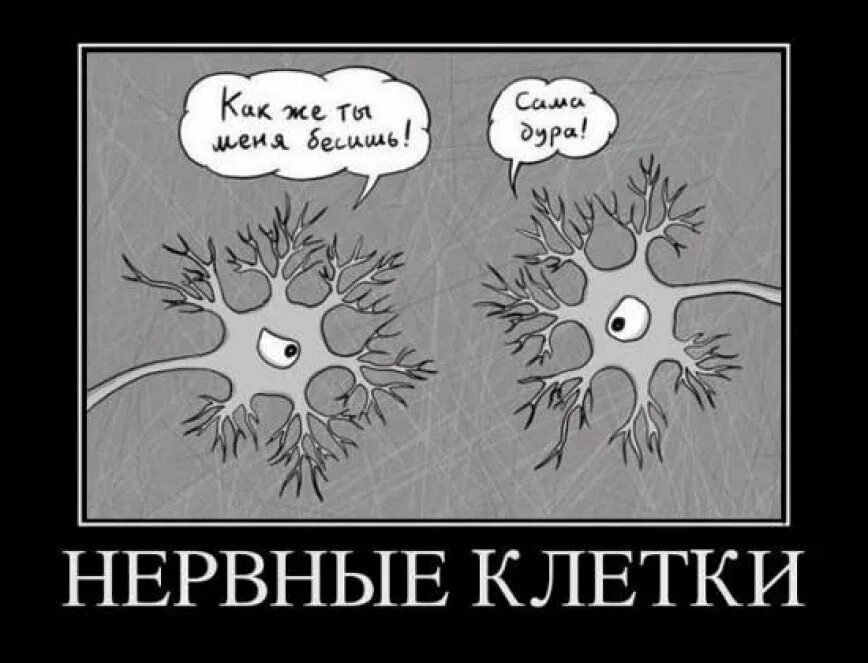 Не у меня их нет