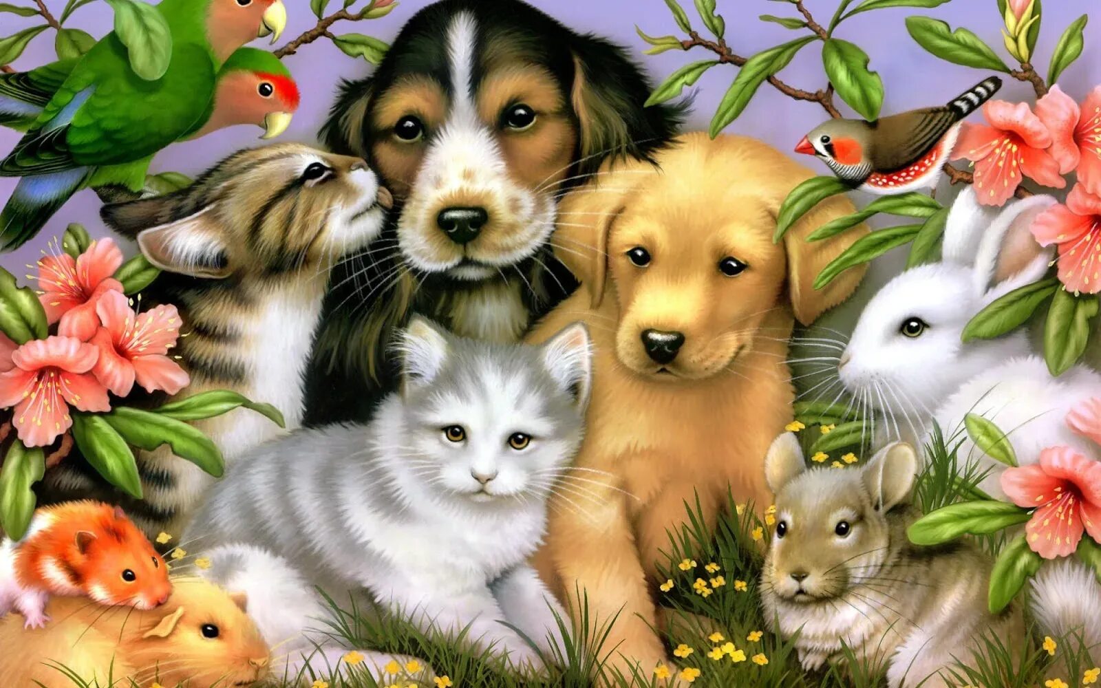 Детям открытки животных. Картина животные. Домашние животные. Домашние животные на природе. Картина домашние животные.