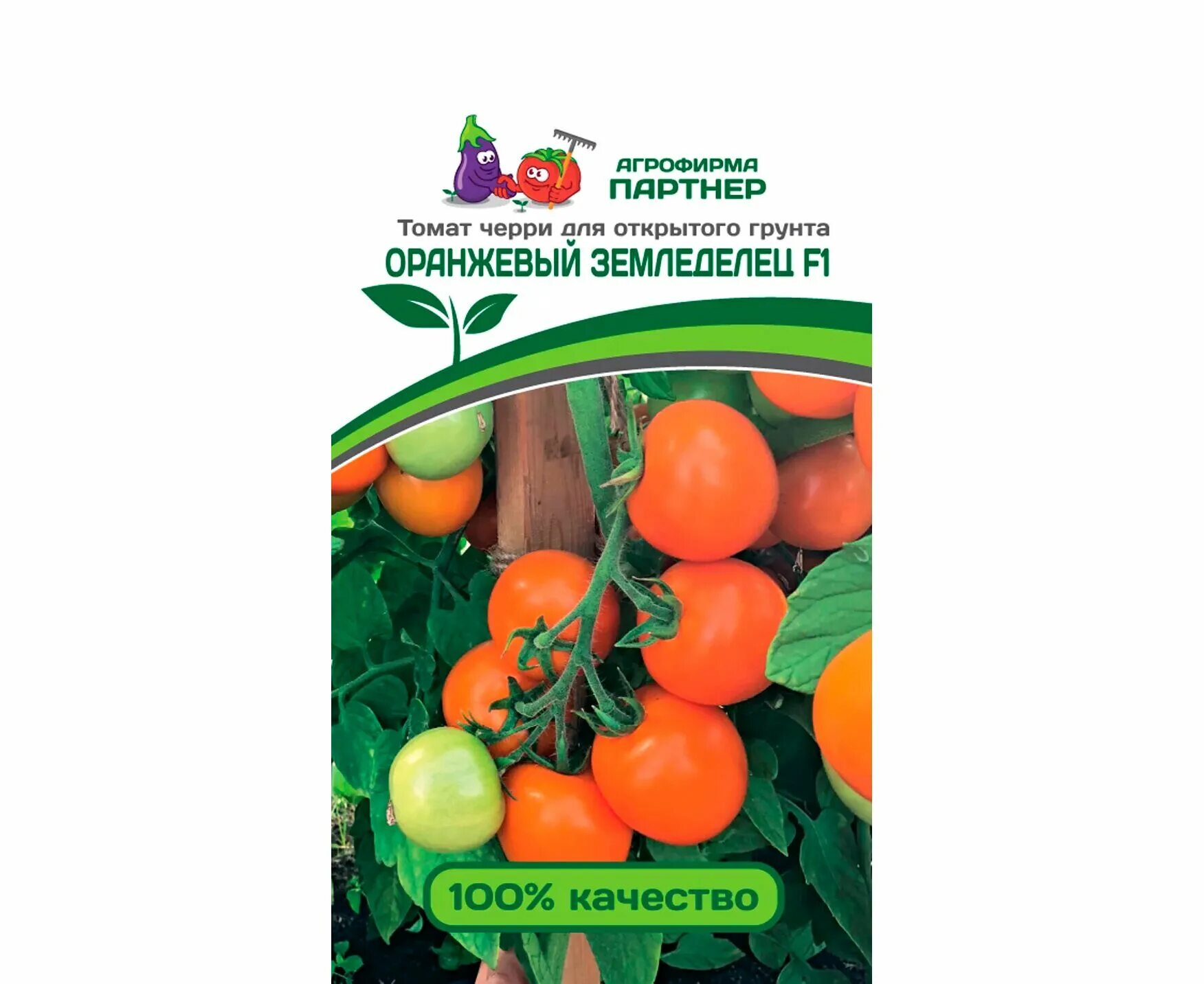 Томат черри земледелец f1. Томат черри земледелец f1 оранжевый. Томат земледелец f1 партнер. Томат малиновый земледелец f1. Томат черри земледелец f1.