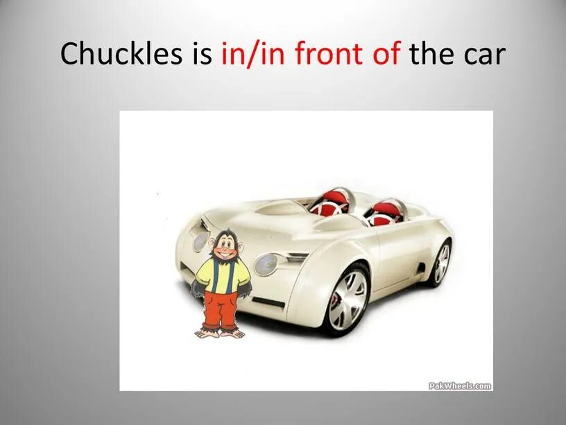 Чаклс. Chuckles is in the car. Chuckles is in/on the car. Chuckles картинка.