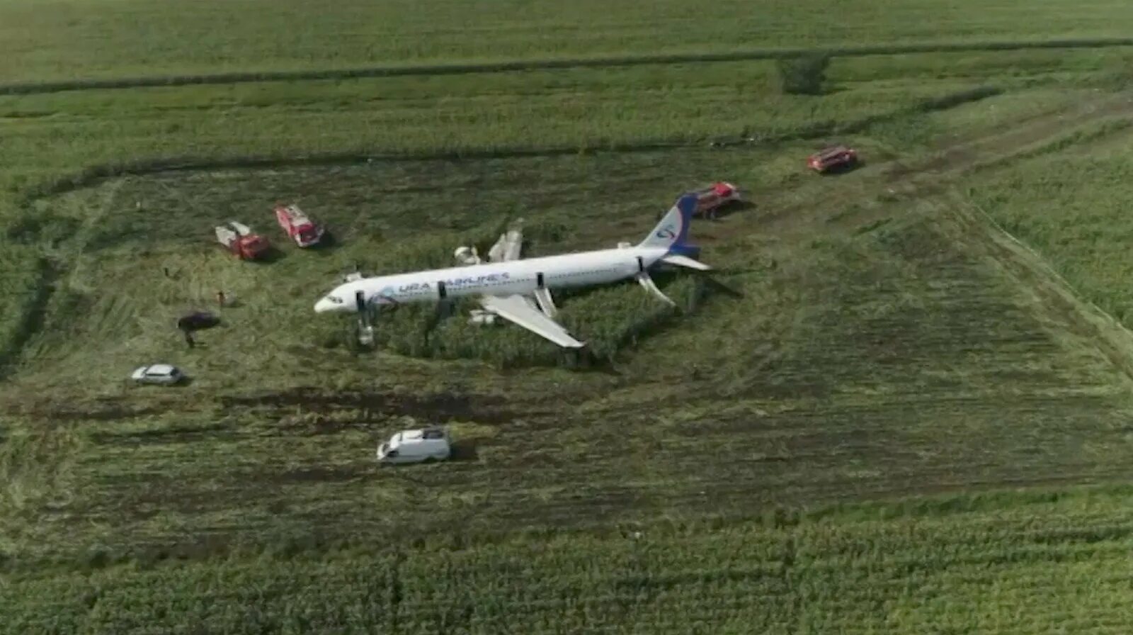В какое поле сел самолет. А321 уральские авиалинии кукурузное поле. посадка на кукурузное поле а 321. а321 приземлился на кукурузное поле.