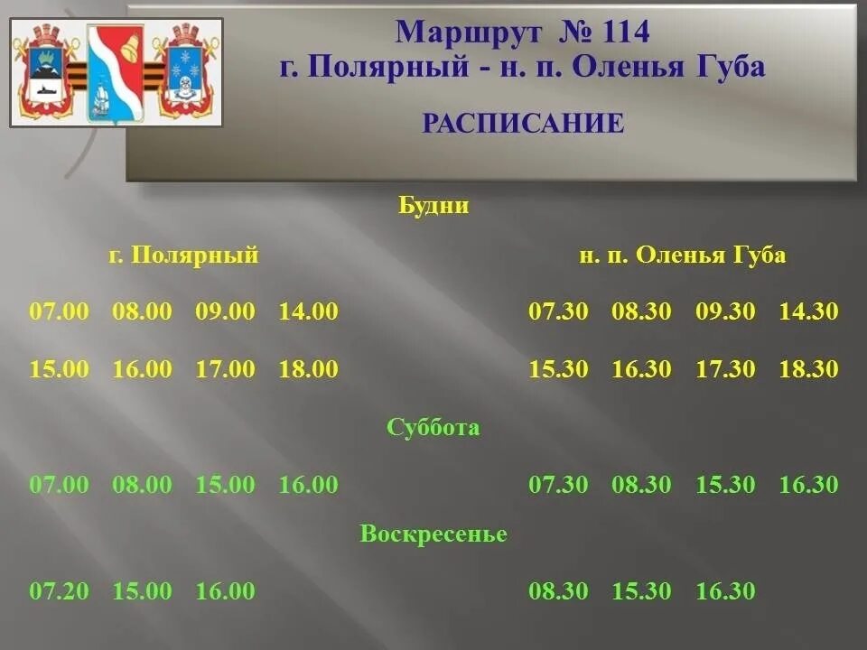 Расписание маршрутки гаджиево. Расписание автобусов Снежногорск-Полярный 113. Расписание автобусов Полярный Снежногорск. Расписание 113 Снежногорск Полярный. Снежногорск Полярный расписание.