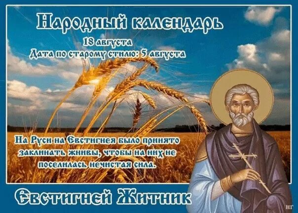 18 августа праздник картинки. 18 августа народный календарь. евстигней житник народный праздник. евстигней житник 18 августа. евстигней житник 18 августа народный календарь.