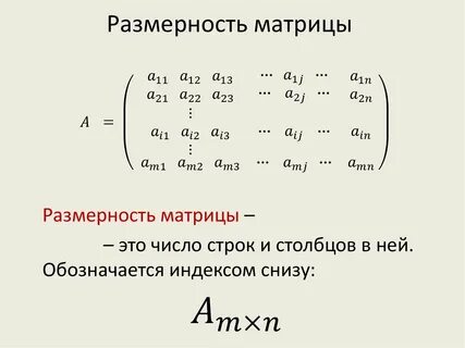 Матрица матрица размера nxm