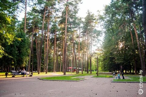 Челюскинцы минск